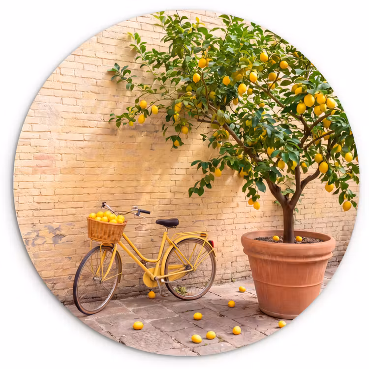 Wandcirkel - Glas - Fiets - Mand - Eten - Geel - Zomer — 1