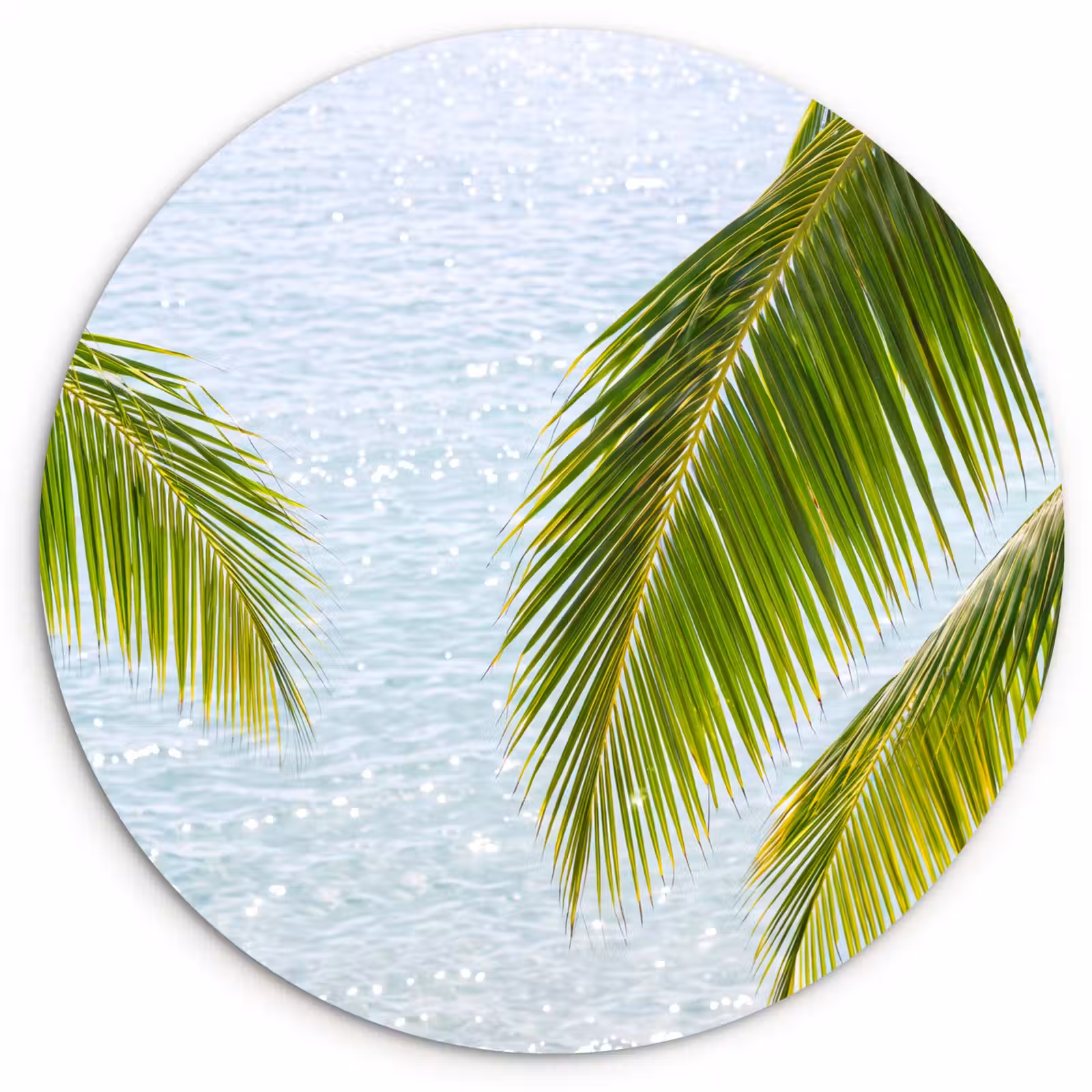 Wandcirkel - Glas - Boom - Bladeren - Water - Tropisch - Groen — 1