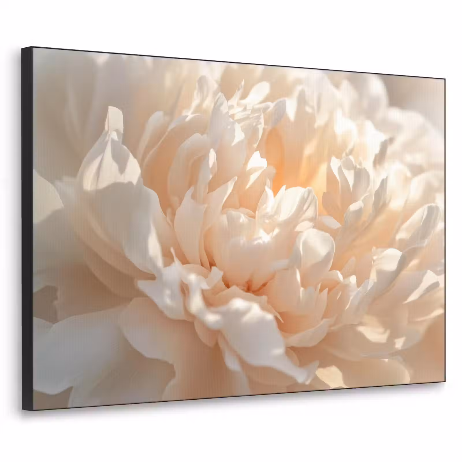 Art Frame - Close up - Pioenroos - Lichtroze — 1