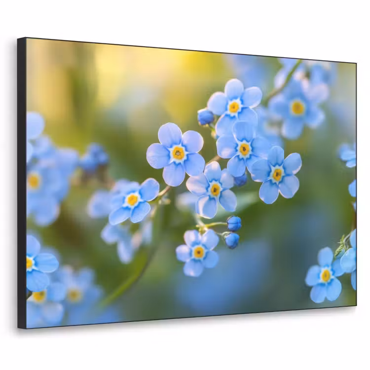 Art Frame - Bloemetjes - Blauw - Vergeet mij nietjes — 1
