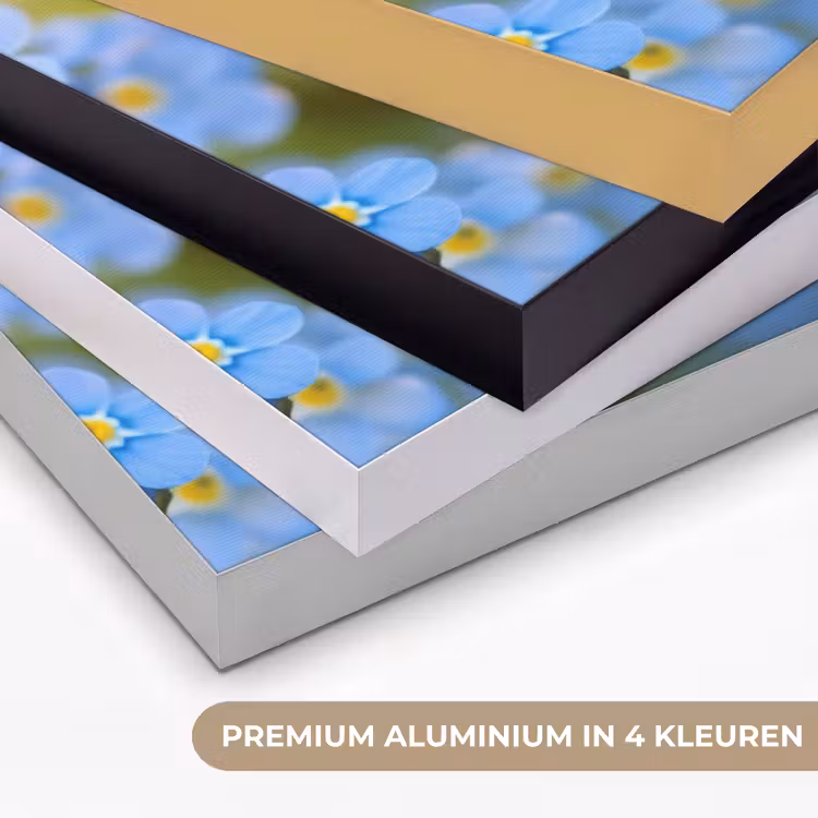 Art Frame - Bloemetjes - Blauw - Vergeet mij nietjes — 2