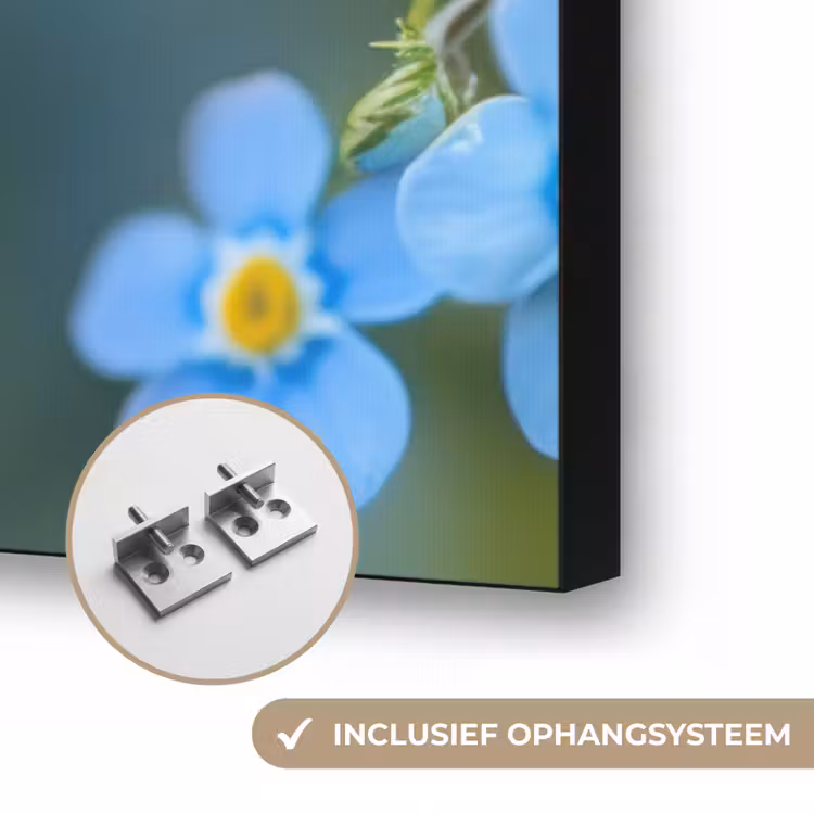 Art Frame - Bloemetjes - Blauw - Vergeet mij nietjes — 6