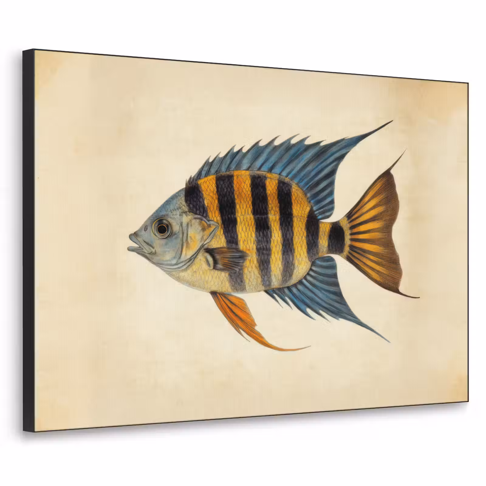 Art Frame - Vis - Tropisch - Strepen - Vinnen — 1