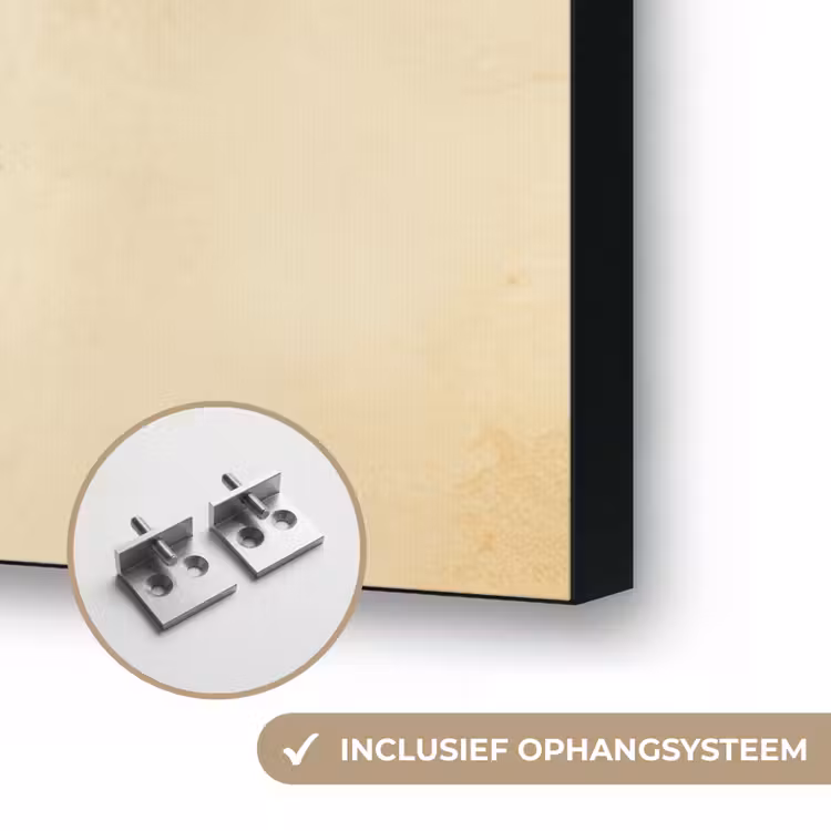Art Frame - Vis - Tropisch - Strepen - Vinnen — 6