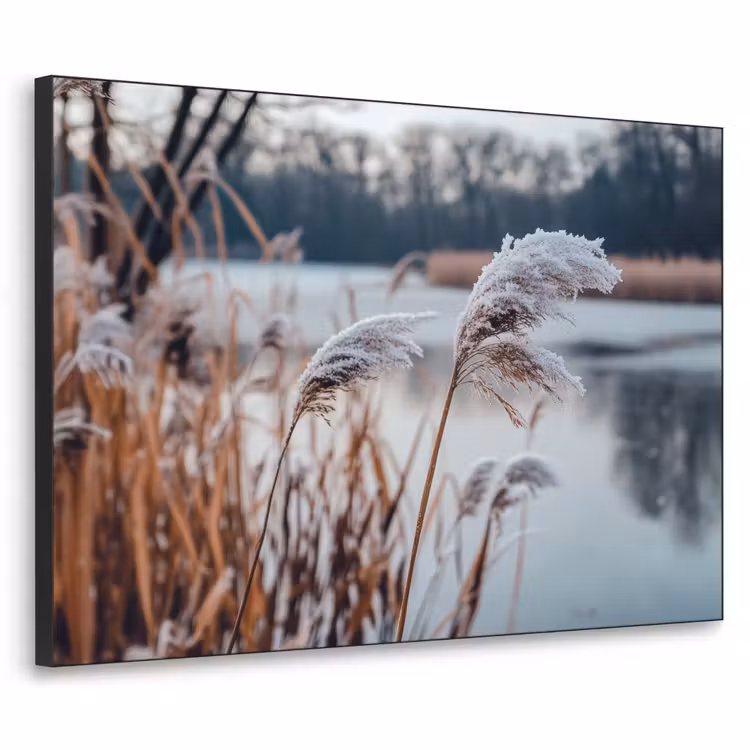Art Frame - Riet - Gras - Natuur - Winter - Meer — 1