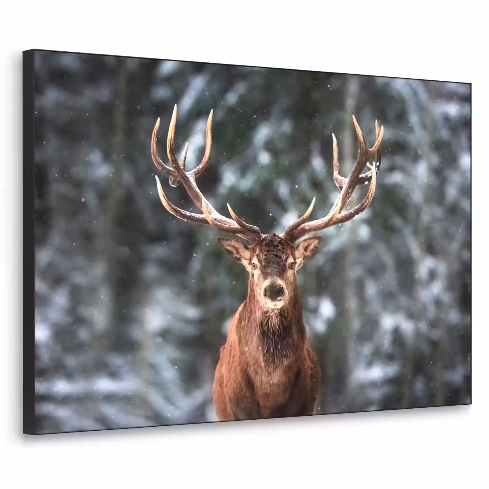 Art Frame - Hert - Winter - Sneeuw - Bos - Natuur - Dier — 1