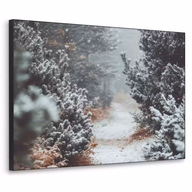 Art Frame - Bos - Winter - Bomen - Natuur - Pad - Sneeuw — 1