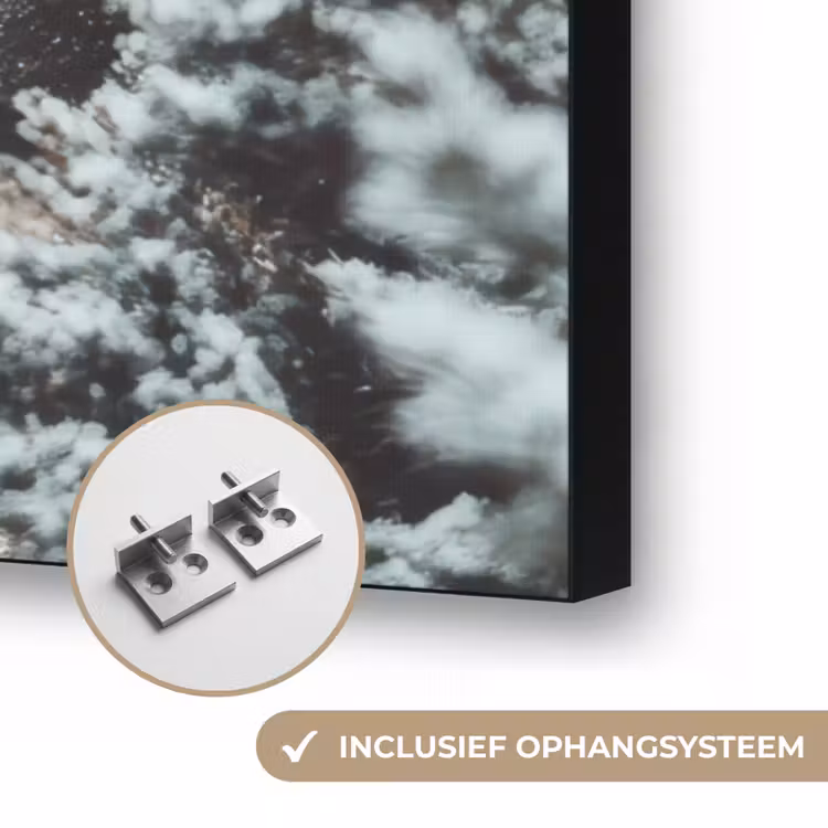 Art Frame - Bos - Winter - Bomen - Natuur - Pad - Sneeuw — 6