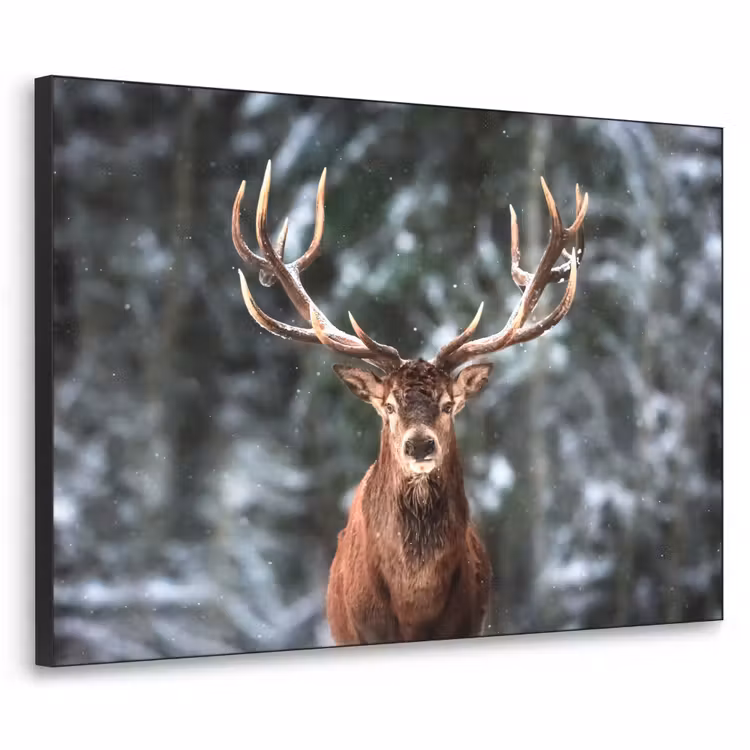 Art Frame - Hert - Winter - Sneeuw - Bos - Natuur - Dier — 1