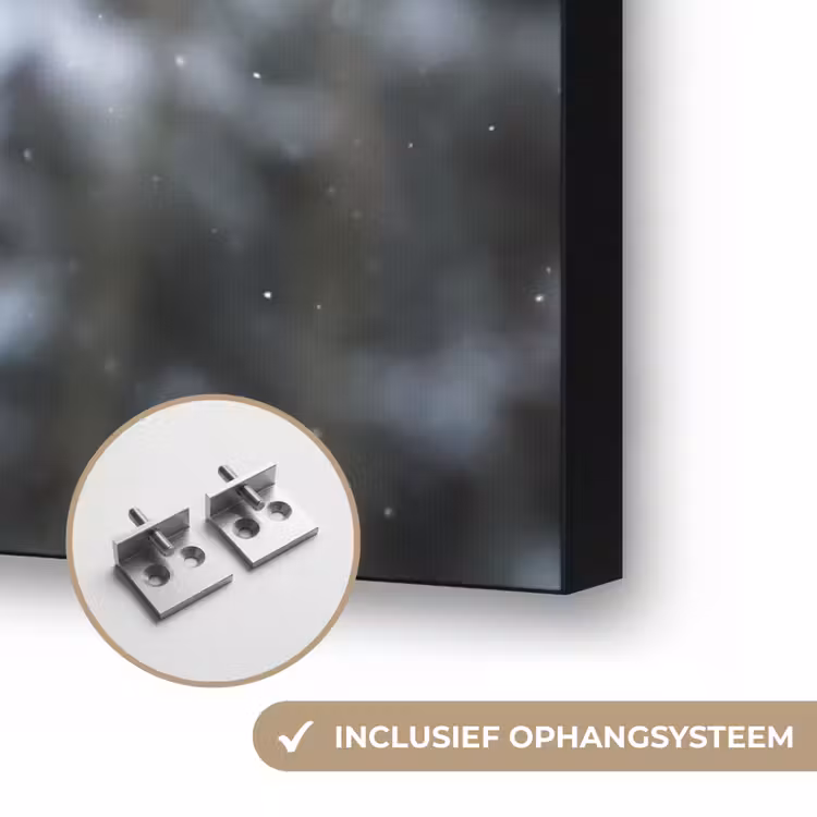 Art Frame - Hert - Winter - Sneeuw - Bos - Natuur - Dier — 6