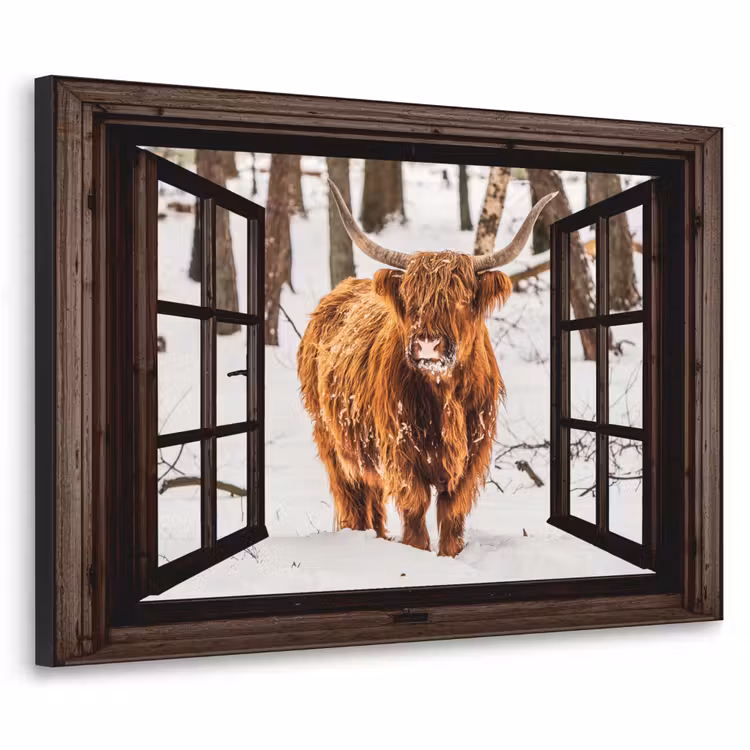 Art Frame - Schotse Hooglander - Sneeuw - Natuur - Dieren - Doorkijk - Winter — 1