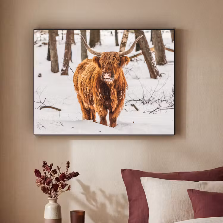 Art Frame - Schotse Hooglander - Sneeuw - Winter - Natuur - Dieren — 3