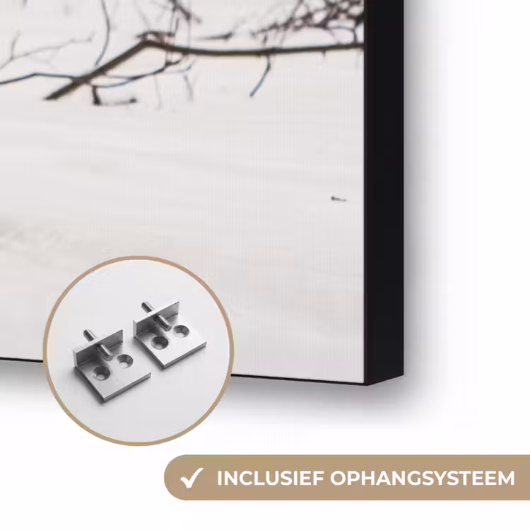 Art Frame - Schotse Hooglander - Sneeuw - Winter - Natuur - Dieren — 6
