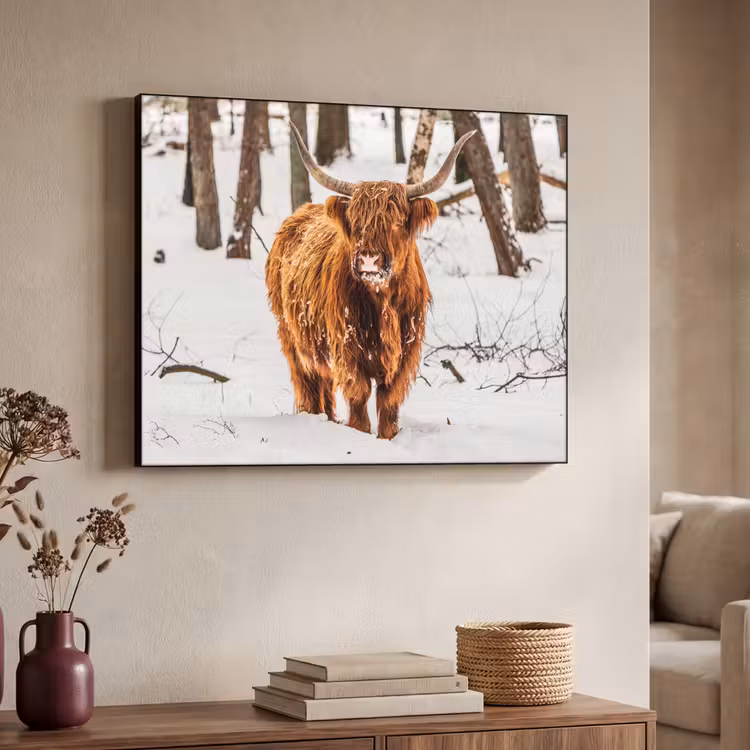 Art Frame - Schotse Hooglander - Sneeuw - Winter - Natuur - Dieren — 7