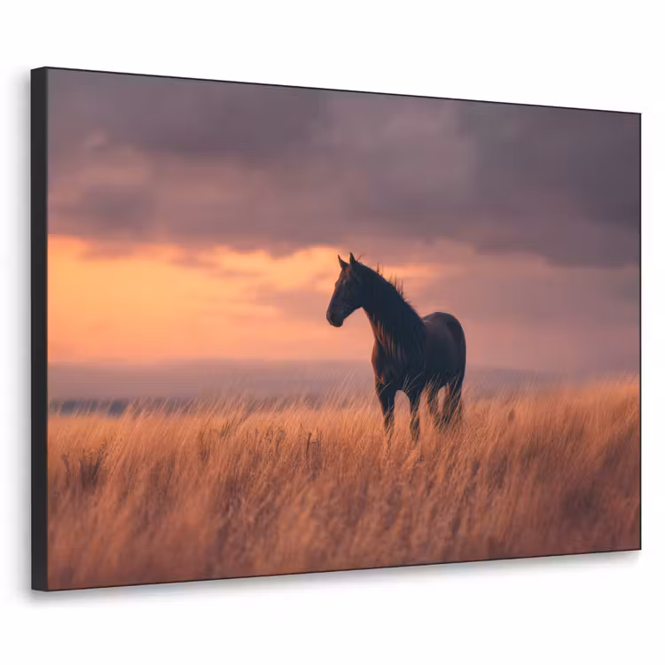 Art Frame - Paard - Wolken - Open veld — 1