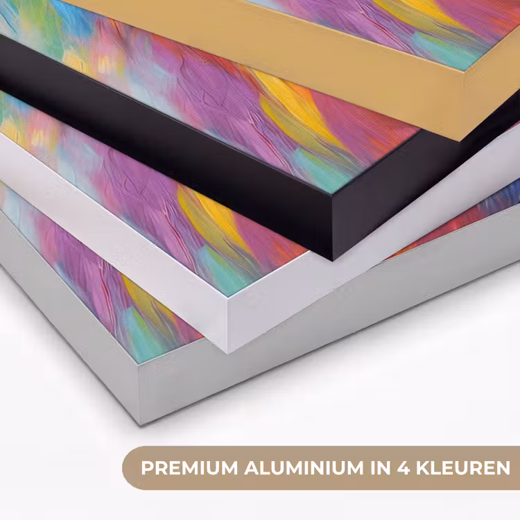 Art Frame - Leeuw - Dieren - Olieverf - Regenboog — 2
