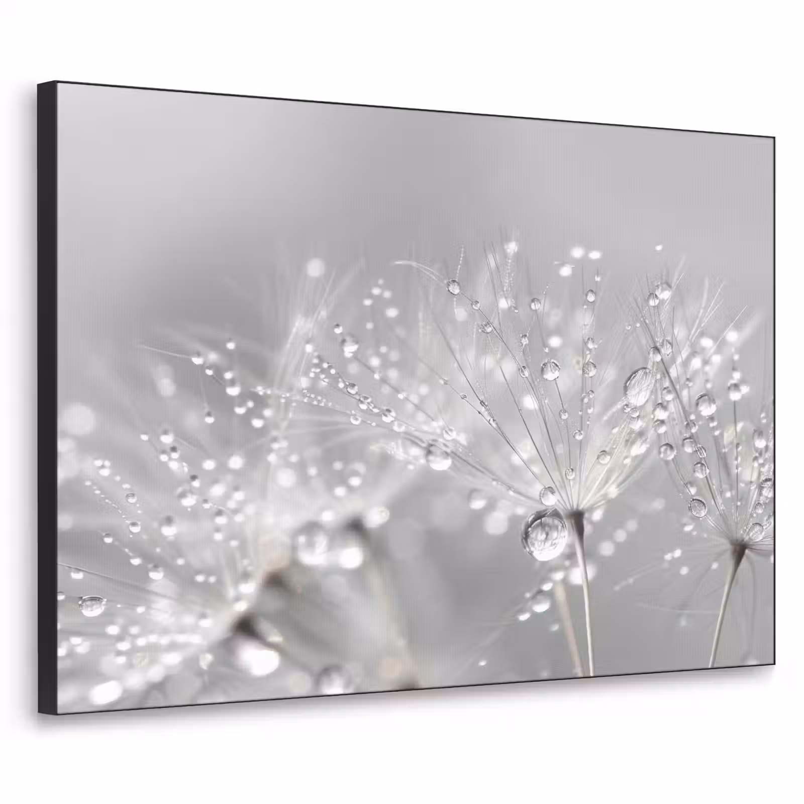 Art Frame - Paardenbloem - Waterdruppels - Stilleven - Modern — 1