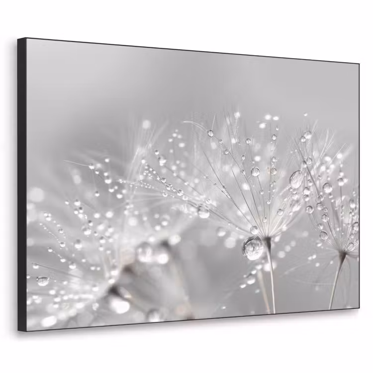 Art Frame - Paardenbloem - Waterdruppels - Stilleven - Modern — 1