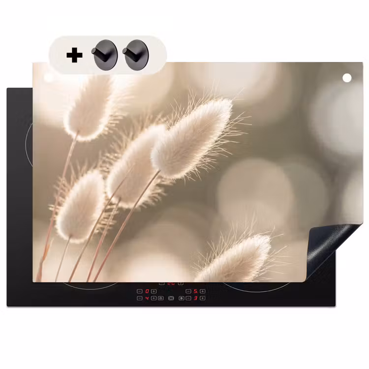Inductie beschermer en spatscherm (2in1) - Hazestaartgras - Wit - Zonlicht — 1