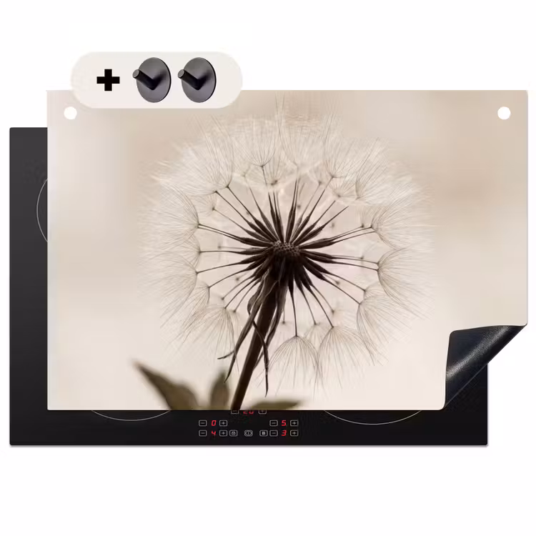 Inductie beschermer en spatscherm (2in1) - Paardenbloem - Minimalistisch - Wit — 1