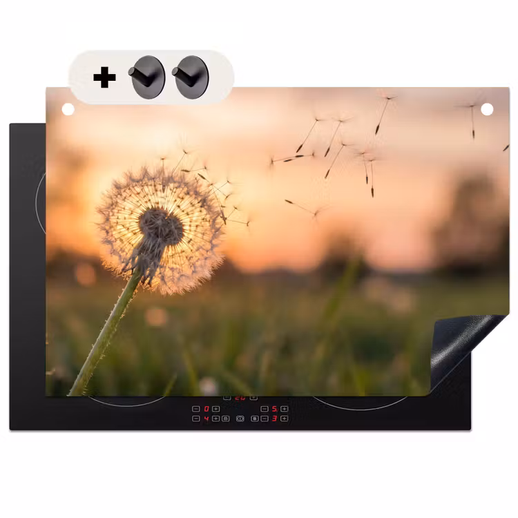 Inductie beschermer en spatscherm (2in1) - Paardenbloem - Zonsondergang - Veld