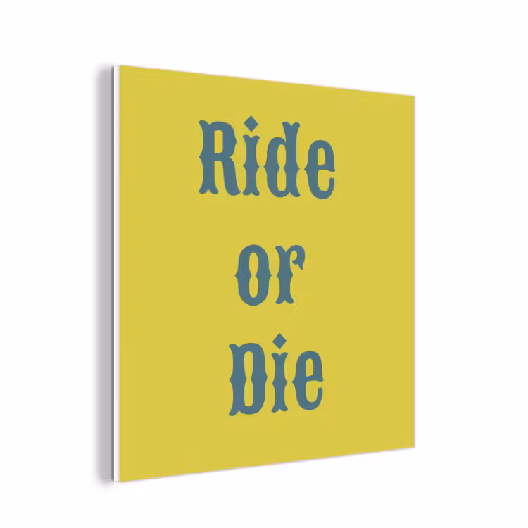 Forex - Ride or die - Geel - Blauw — 1