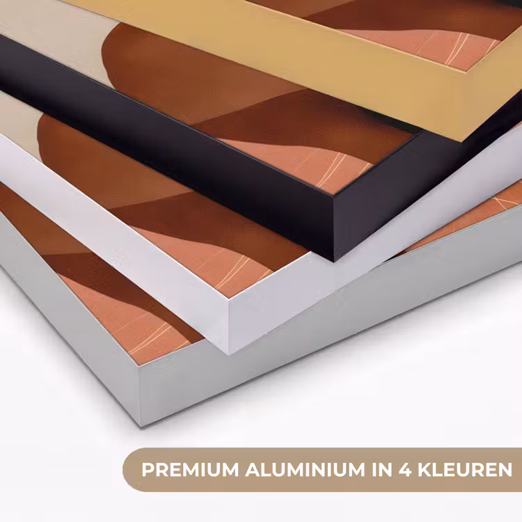 Art Frame - Olifanten - Oranje - Abstract — 2