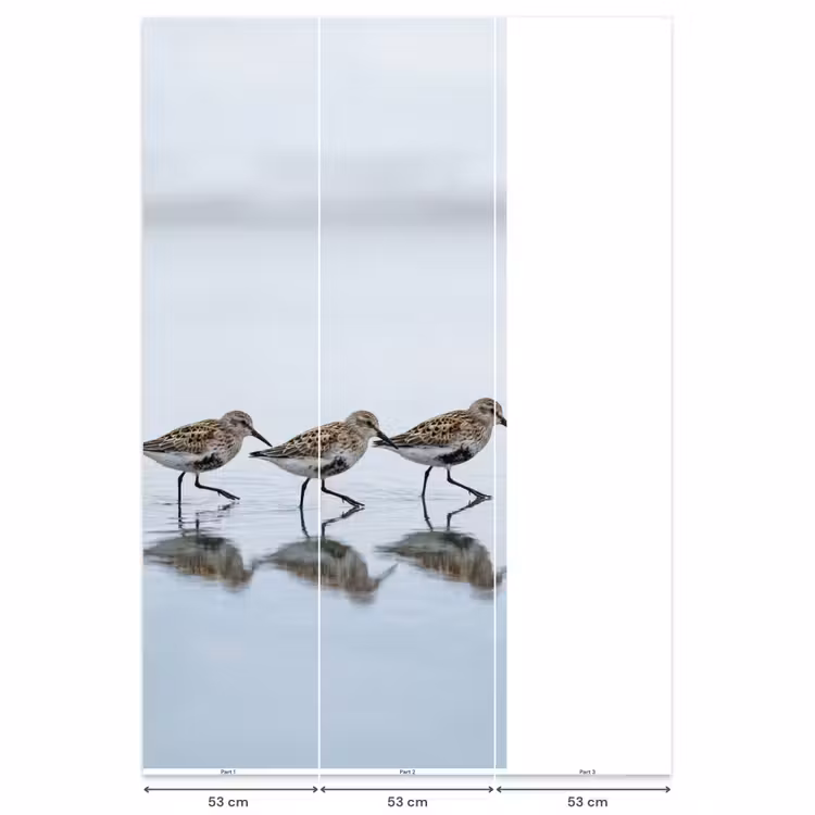 Behang - Vogels - Water - Grijs — 6