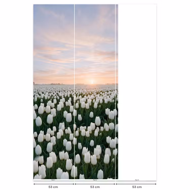 Behang - Tulpen - Landschap - Wit — 6