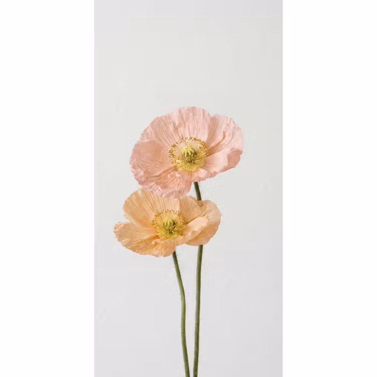 Behang - Papavers - Botanisch - Roze — 2