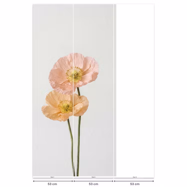 Behang - Papavers - Botanisch - Roze — 6