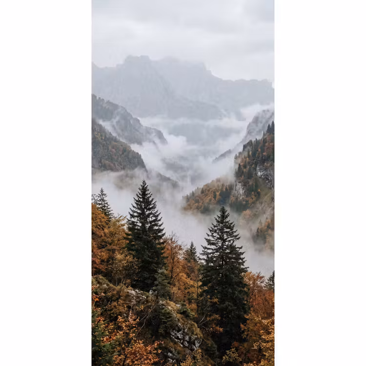 Behang - Bergen - Vallei - Mist - Herfst - Natuur — 2