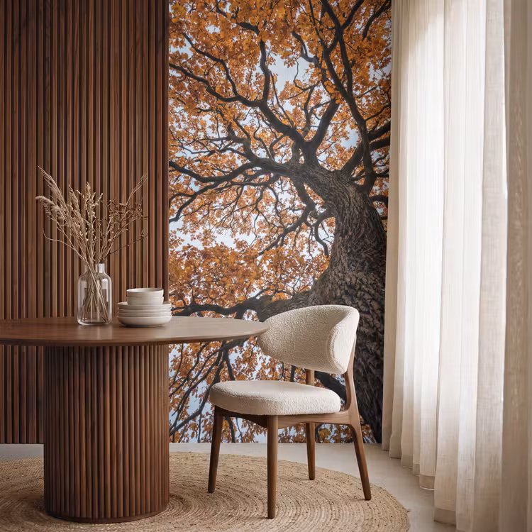 Behang - Boom - Bladerdak - Herfst - Oranje - Sfeervol — 4