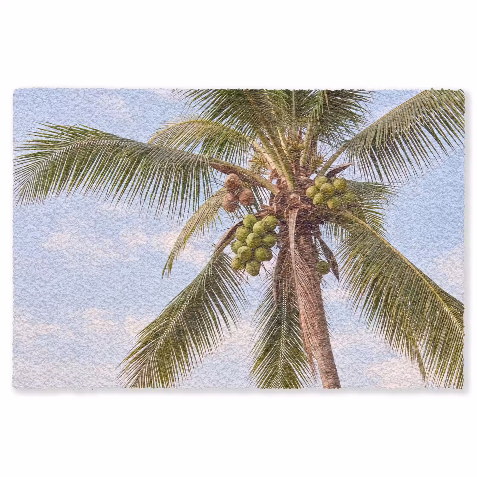 Vloerkleed - Kokosnoot - Boom - Tropisch - Natuur - Groen — 1