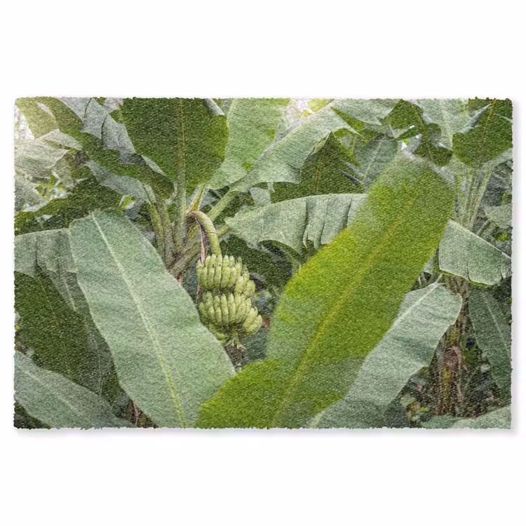 Vloerkleed - Eten - Bananen - Plantage - Groen — 1