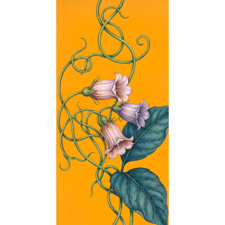 Behang - Bloemen - Botanisch - Geel — 2