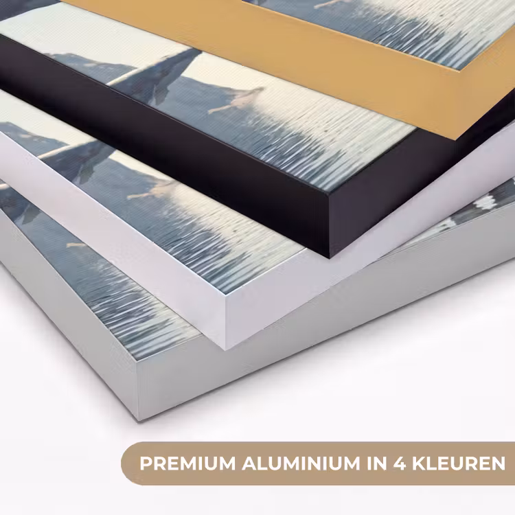 Art Frame - Ruimtevaarder - Walvis - Fantasie — 2