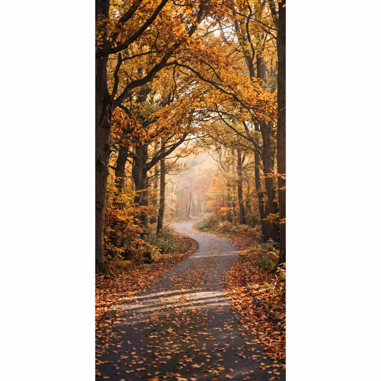 Behang - Bospad - Herfstbos - Bladeren - Oranje - Nostalgisch — 2