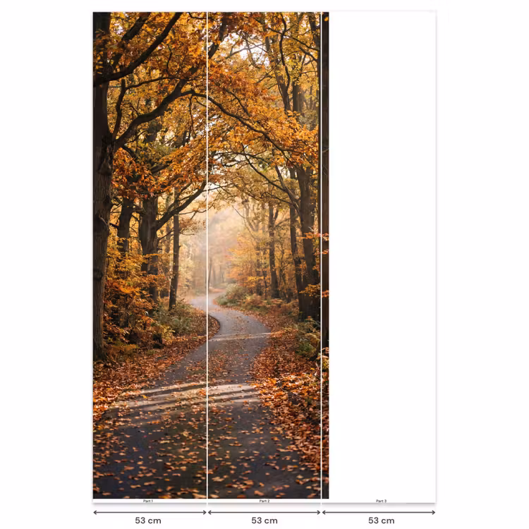 Behang - Bospad - Herfstbos - Bladeren - Oranje - Nostalgisch — 6