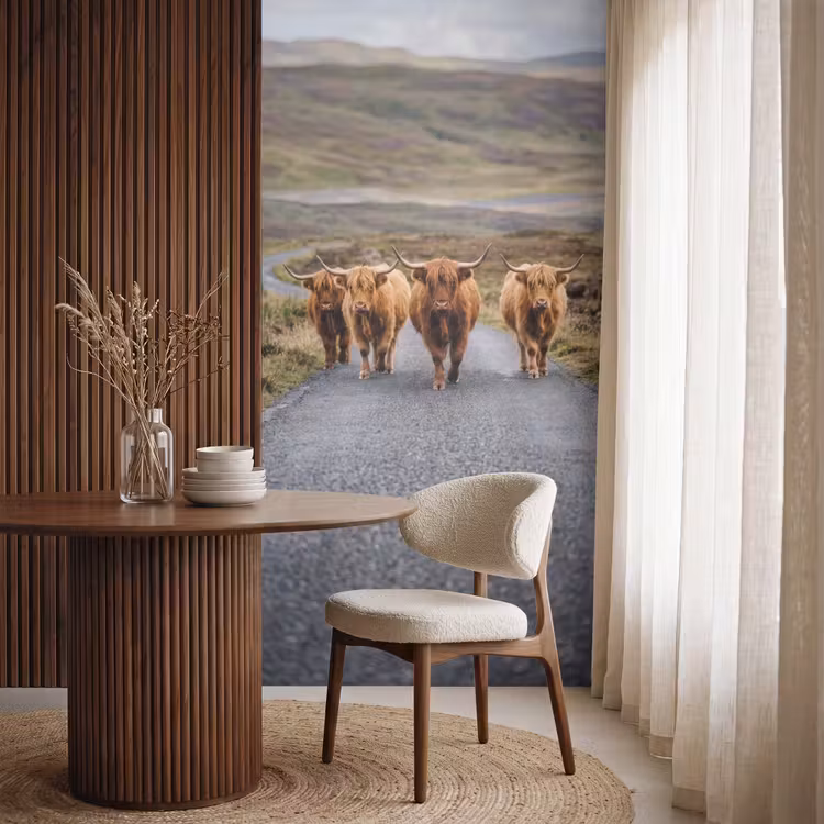 Behang - Schotse Hooglanders - Weg - Landschap - Kudde — 4