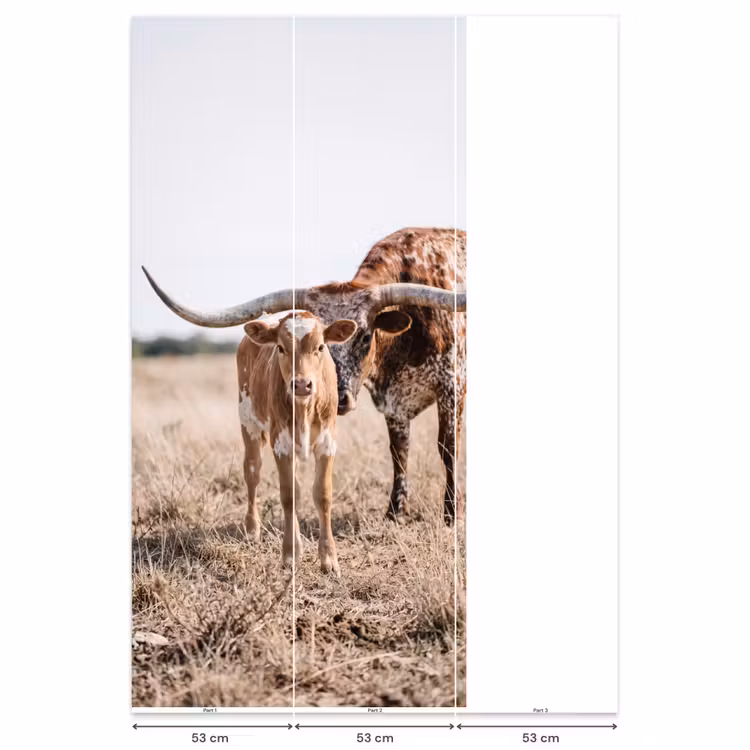 Behang - Texas Longhorn - Kalf - Weide - Dieren — 6