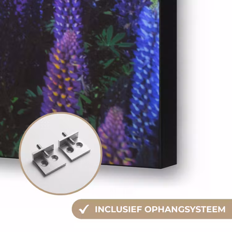 Art Frame - Bloemen - Nacht - Lupine - Sterrenhemel - Paars - Natuur — 6