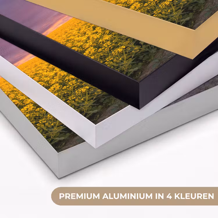 Art Frame - Bloemen - Weg - Lucht - Geel - Paars - Zonsondergang - Natuur — 2