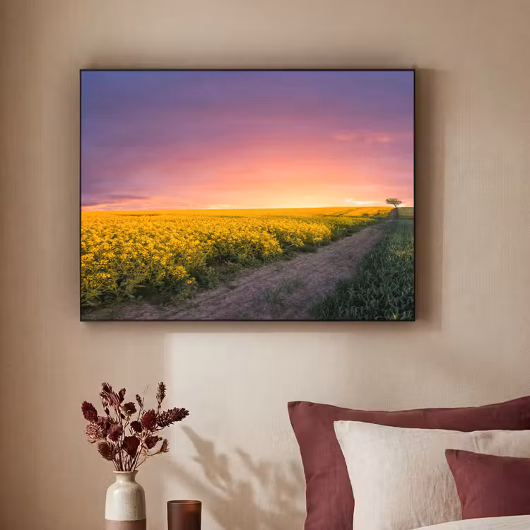 Art Frame - Bloemen - Weg - Lucht - Geel - Paars - Zonsondergang - Natuur — 3