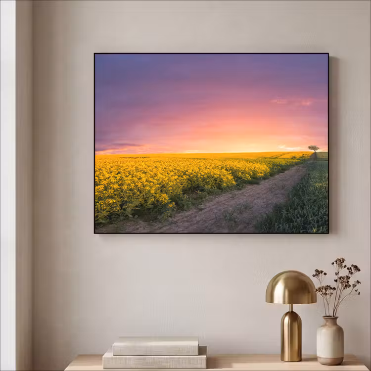 Art Frame - Bloemen - Weg - Lucht - Geel - Paars - Zonsondergang - Natuur — 5