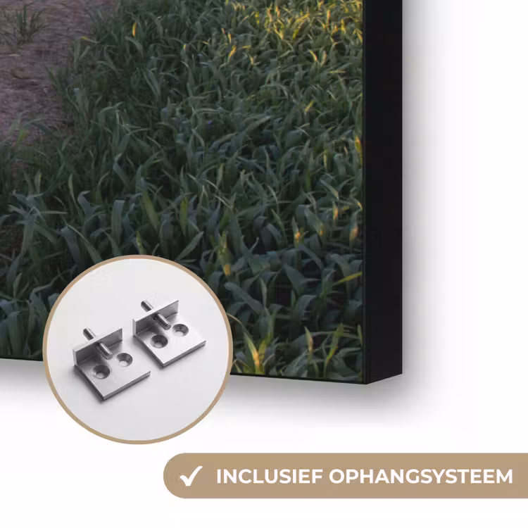 Art Frame - Bloemen - Weg - Lucht - Geel - Paars - Zonsondergang - Natuur — 6