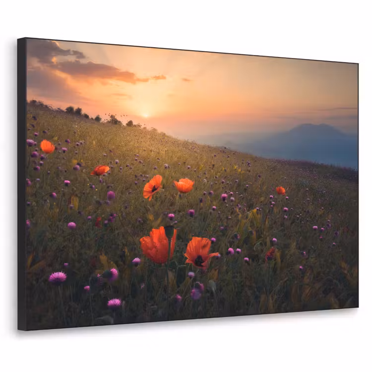 Art Frame - Bloemenveld - Gras - Bloemen - Planten - Zonsondergang - Oranje — 1