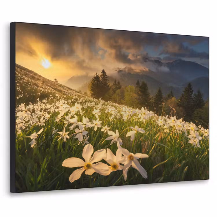 Art Frame - Bloemenveld - Heuvels - Zonsondergang - Berg - Natuur - Wit - Heuvels — 1
