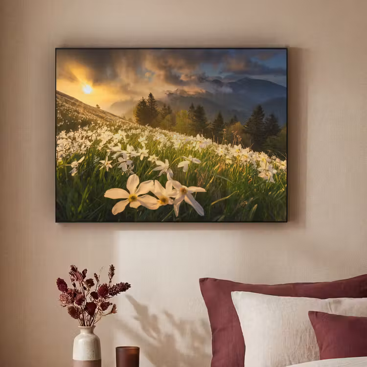 Art Frame - Bloemenveld - Heuvels - Zonsondergang - Berg - Natuur - Wit - Heuvels — 3