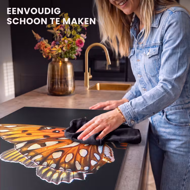Inductie beschermer - Dans van Vuur — 6